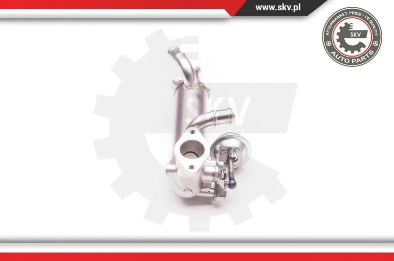 EGR Valve (14SKV119)