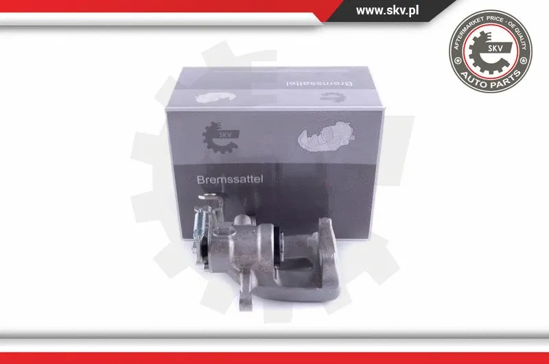 Brake Caliper (55SKV123)