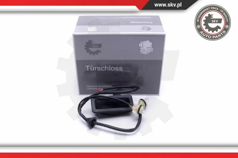 Exterior Door Handle (16SKV268)