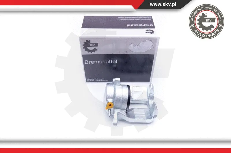 Brake Caliper (42SKV352)