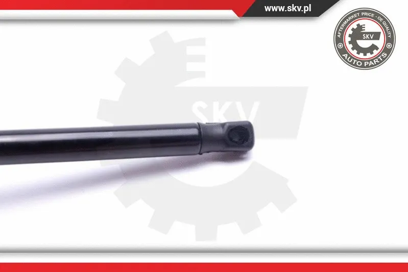 Gas Spring, boot/cargo area