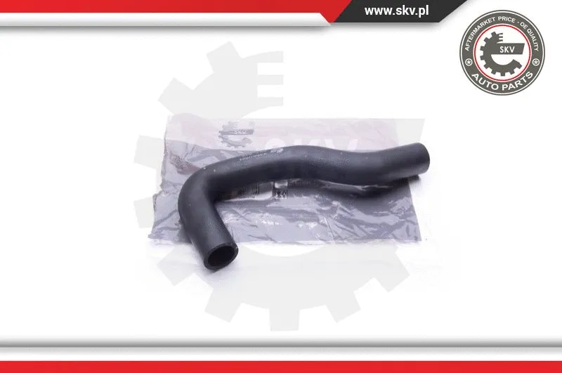 Radiator Hose (43SKV724)