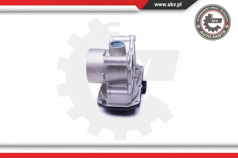 Throttle Body