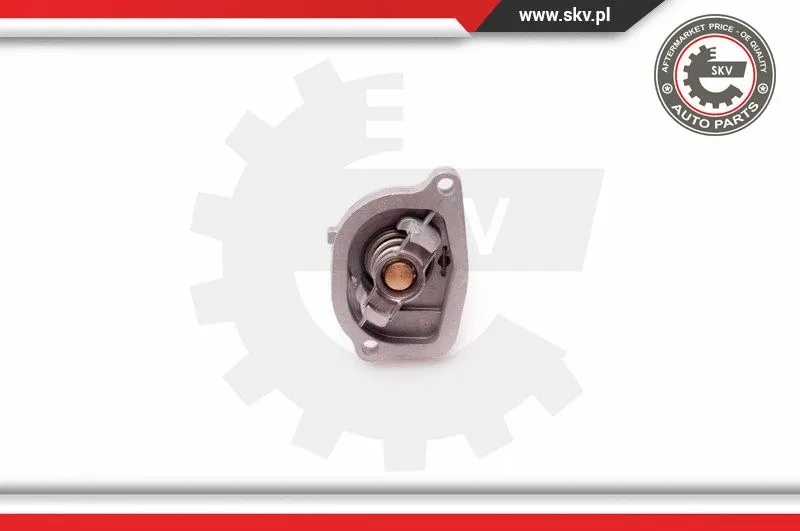 Thermostat, coolant