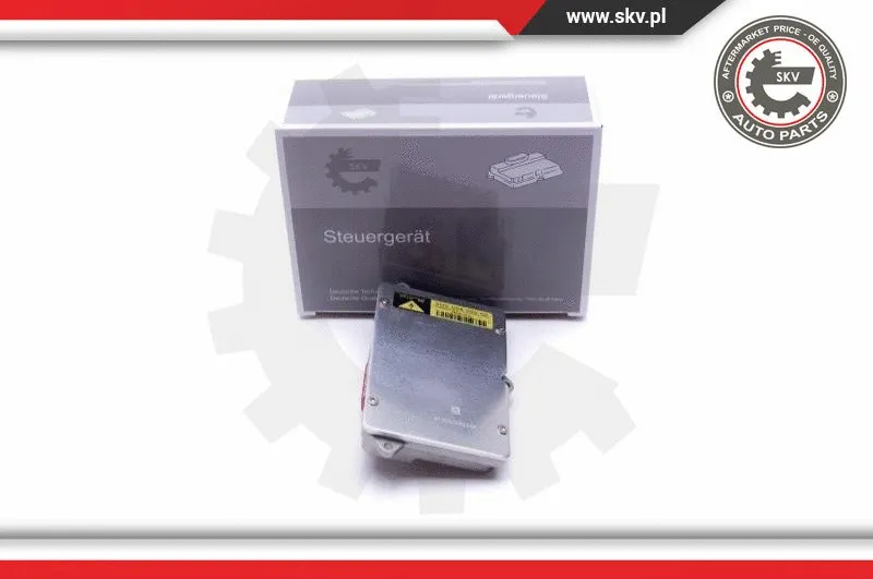 Control, instrument lighting (59SKV010)