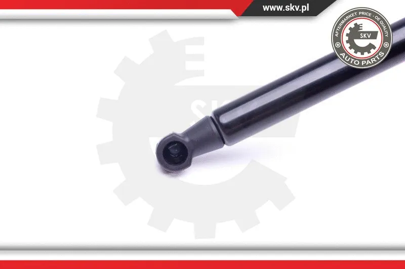 Gas Spring, boot/cargo area