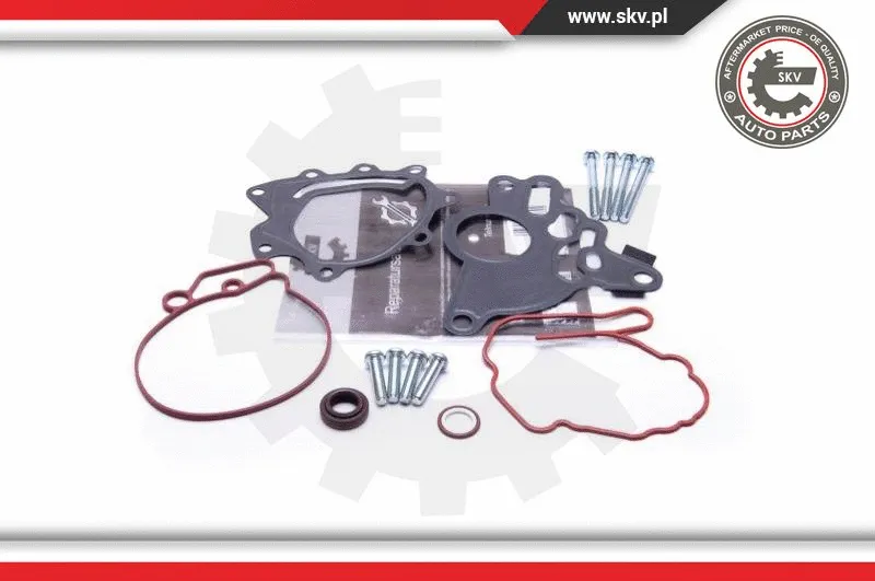 Repair Set, vacuum pump (braking system) (18SKV804)