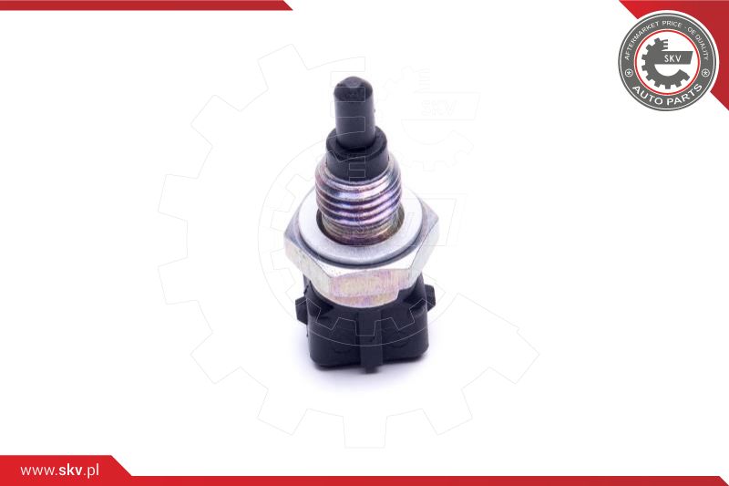 Sensor, intake air temperature