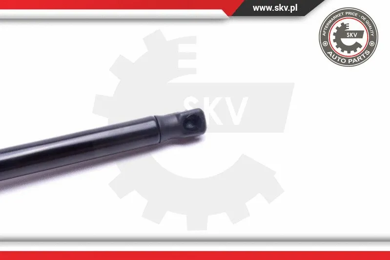Gas Spring, boot/cargo area