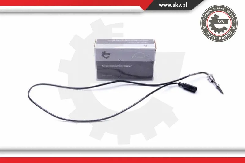 Sensor, exhaust gas temperature (30SKV389)
