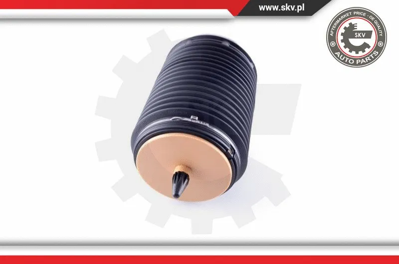 Air Spring, suspension