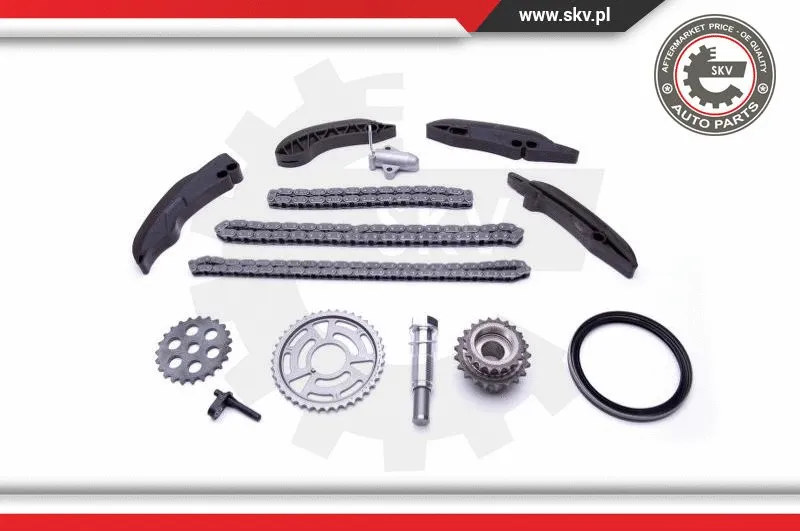 Timing Chain Kit