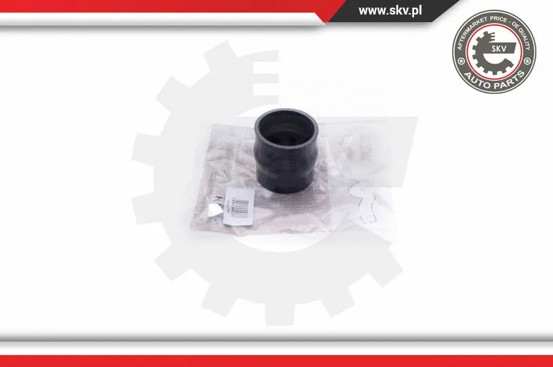 Charge Air Hose (24SKV787)