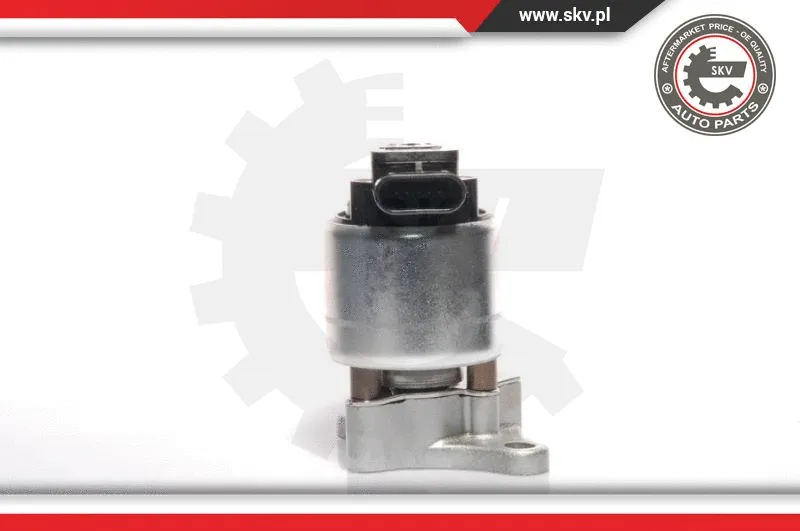 EGR Valve (14SKV041)