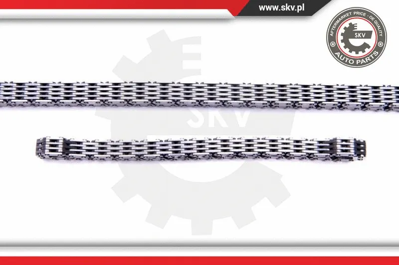 Timing Chain Kit