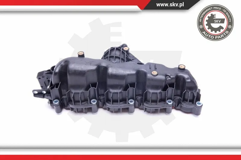 Intake Manifold Module