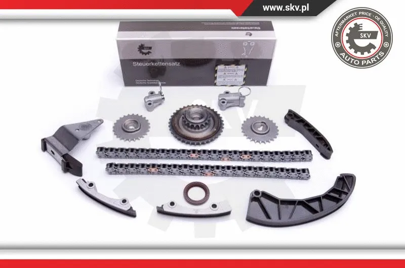 Timing Chain Kit (21SKV224)