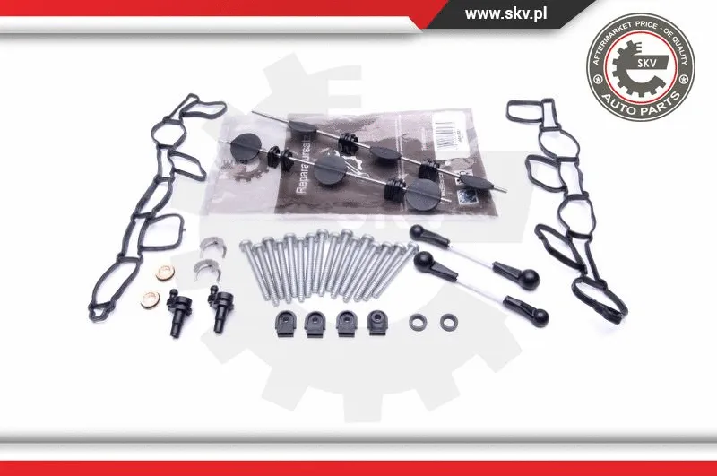 Repair Kit, intake manifold module (49SKV501)