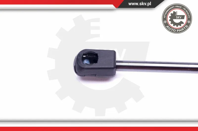 Gas Spring, boot/cargo area