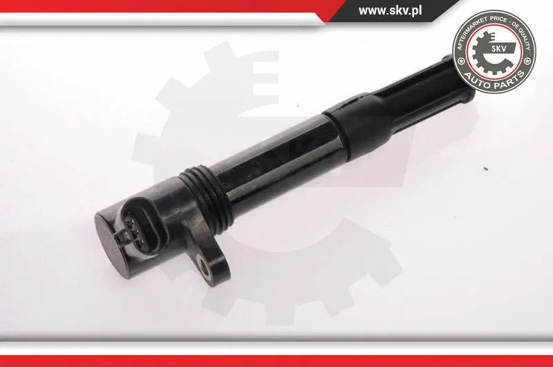 Ignition Coil (03SKV028)