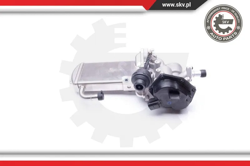 EGR Valve