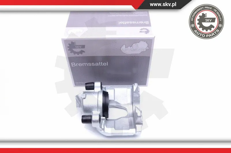 Brake Caliper (44SKV352)