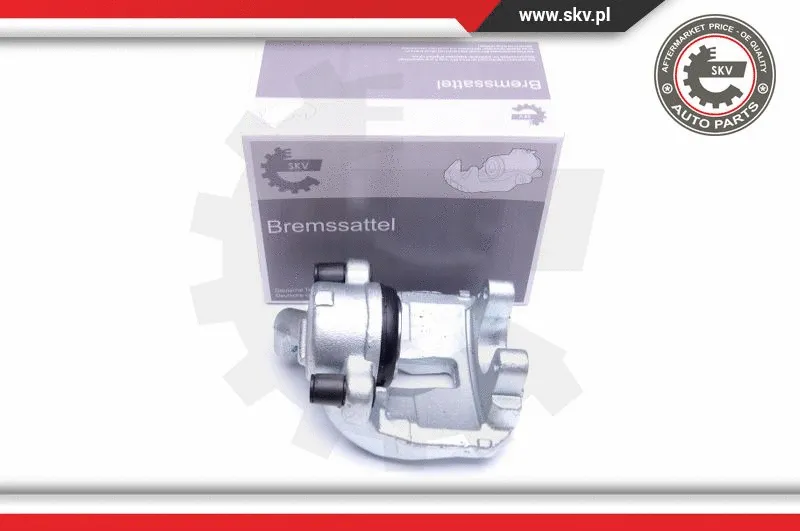 Brake Caliper (44SKV462)
