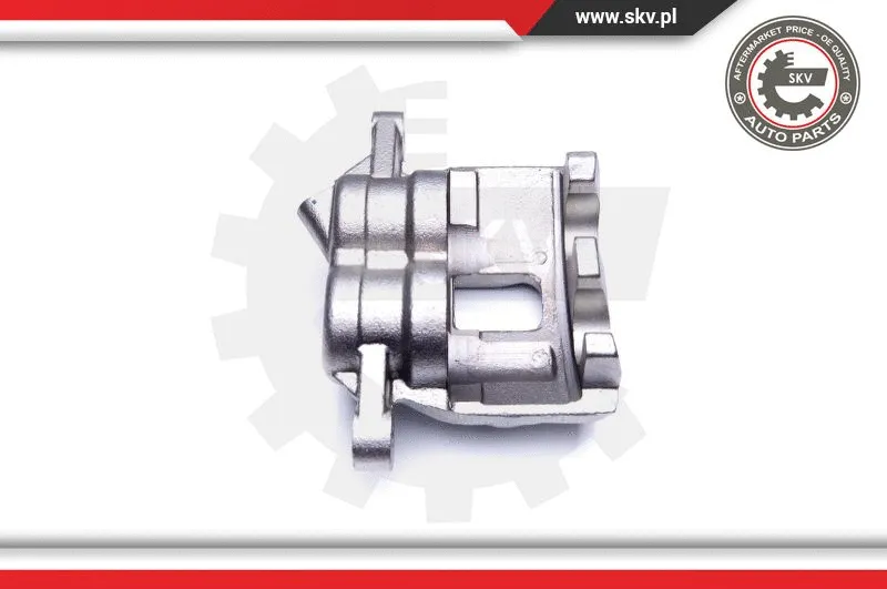 Brake Caliper (44SKV882)