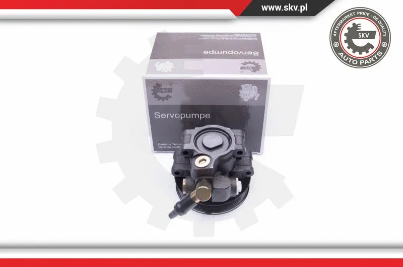 Hydraulic Pump, steering (10SKV260)