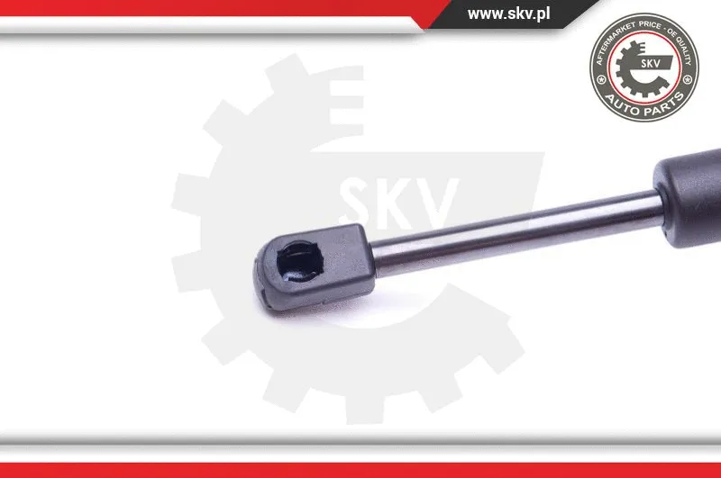 Gas Spring, boot/cargo area