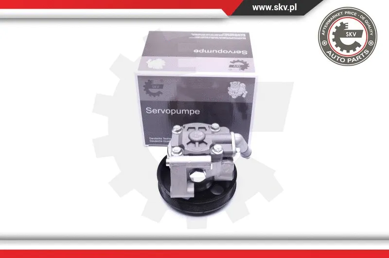 Hydraulic Pump, steering (10SKV038)