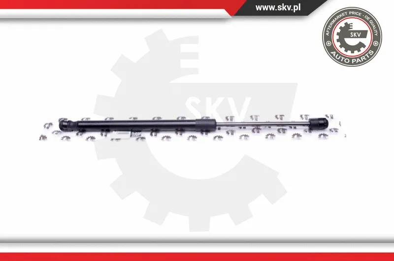 Gas Spring, boot/cargo area