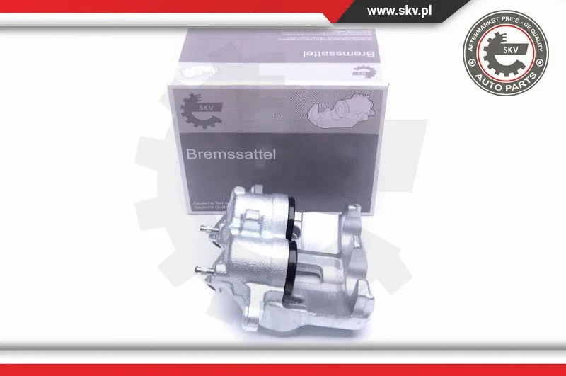 Brake Caliper (42SKV711)