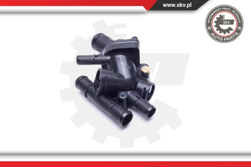 Thermostat, coolant
