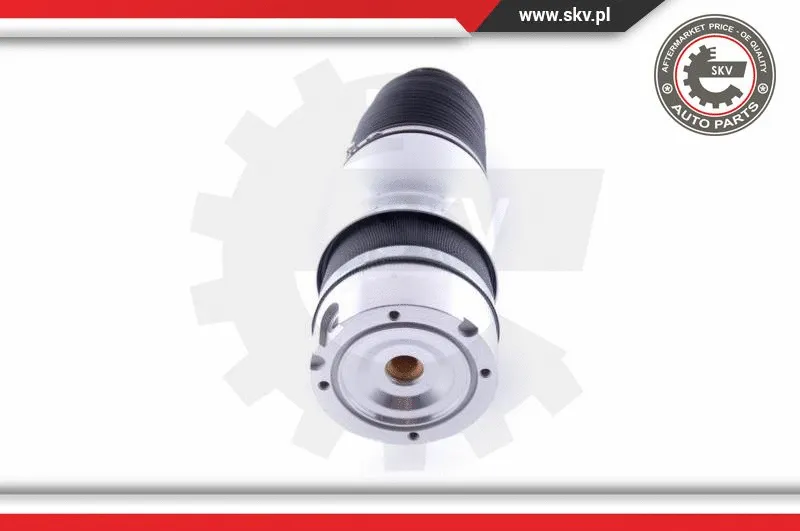 Air Spring, suspension