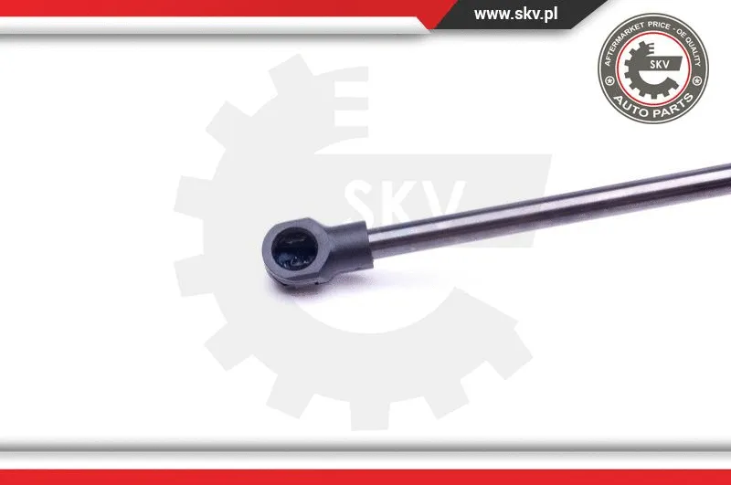 Gas Spring, boot/cargo area
