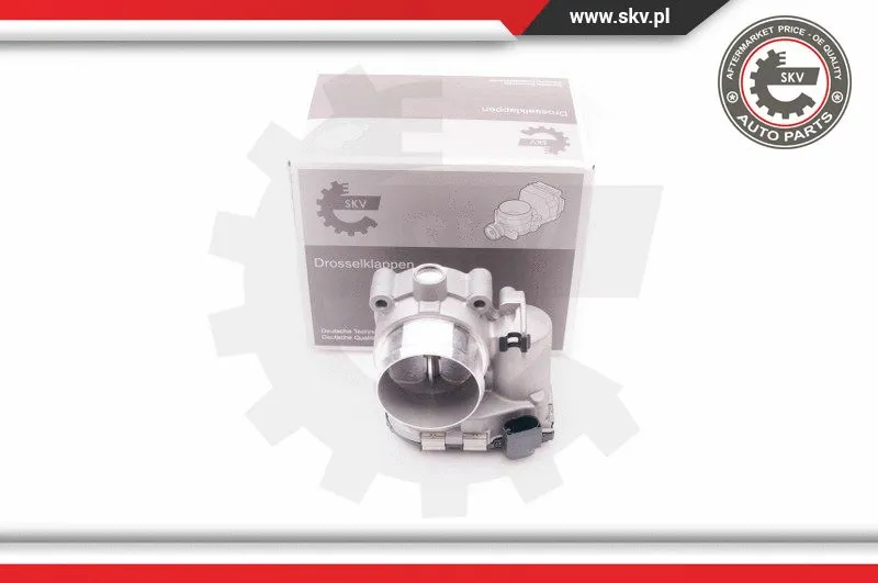 Throttle Body (12SKV053)