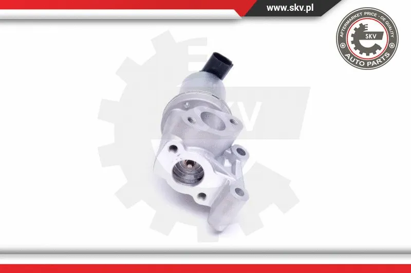 EGR Valve
