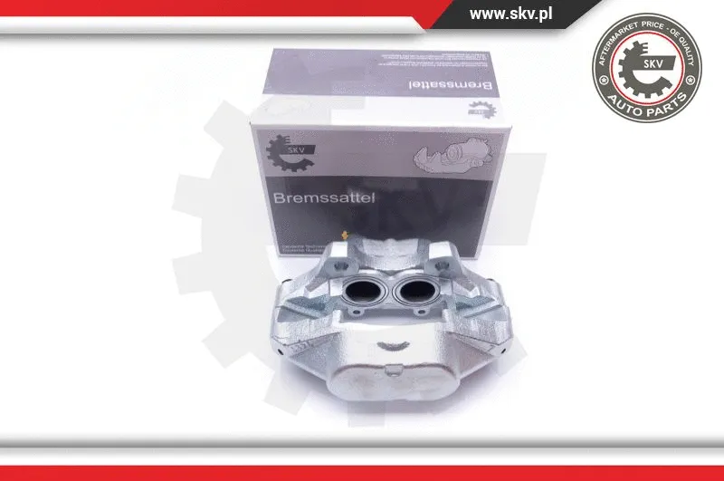Brake Caliper (34SKV915)