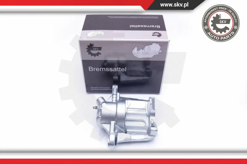 Brake Caliper (42SKV842)