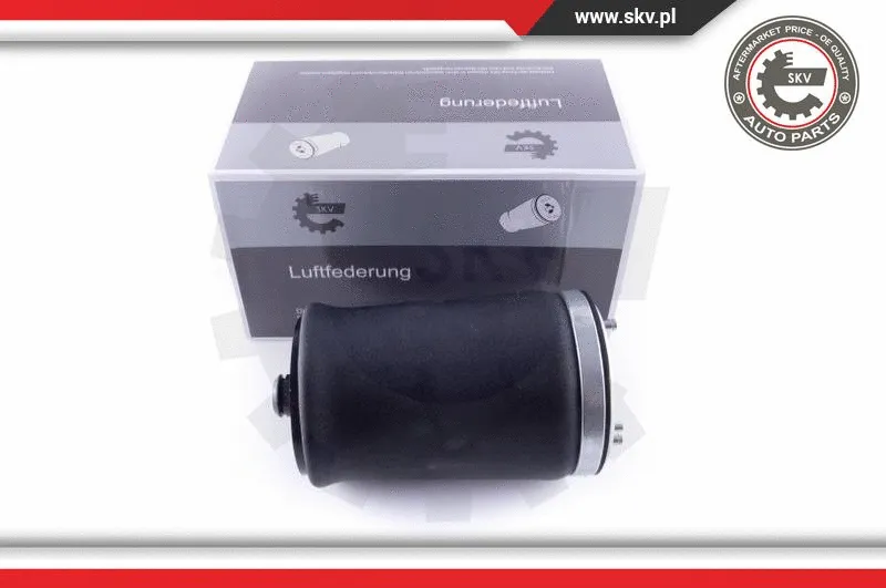 Air Spring, suspension (58SKV004)