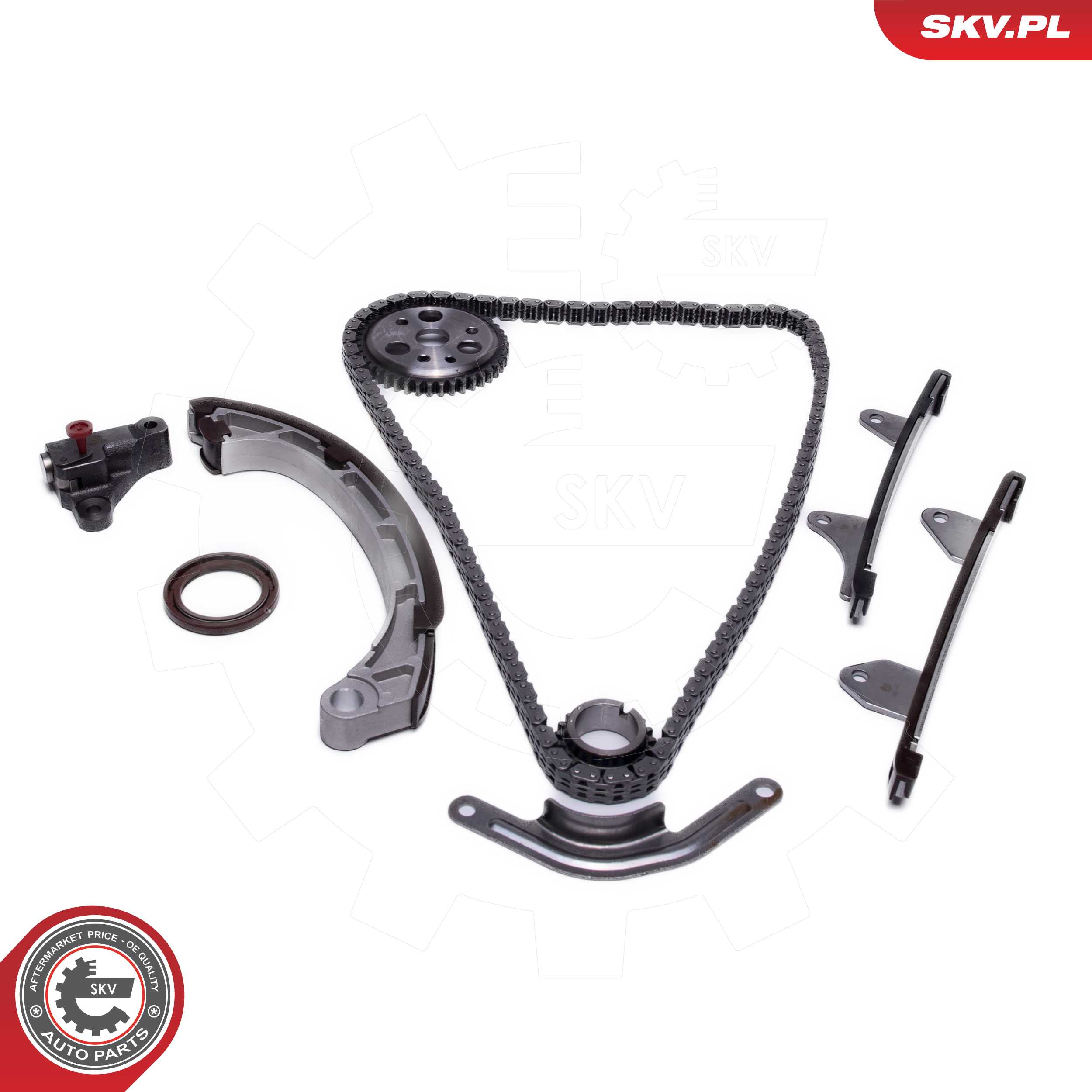 Timing Chain Kit