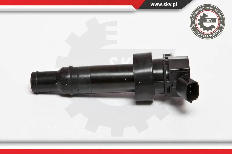 Ignition Coil (03SKV205)
