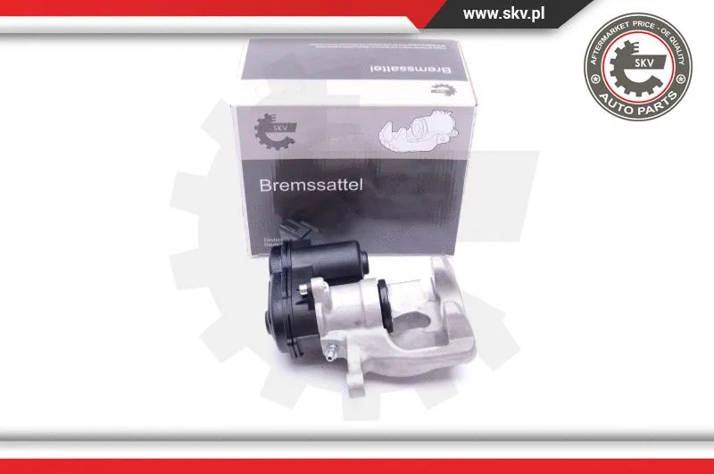 Brake Caliper (42SKV554)