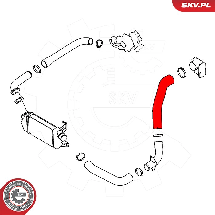 Charge Air Hose