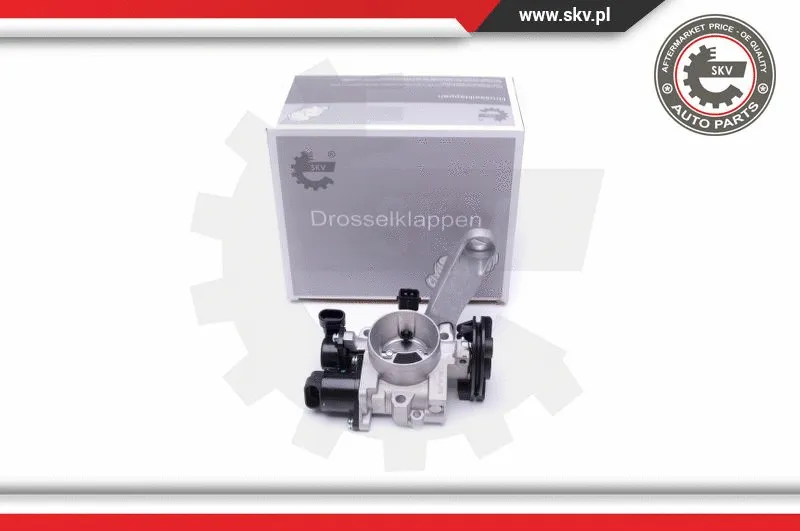 Throttle Body (12SKV083)