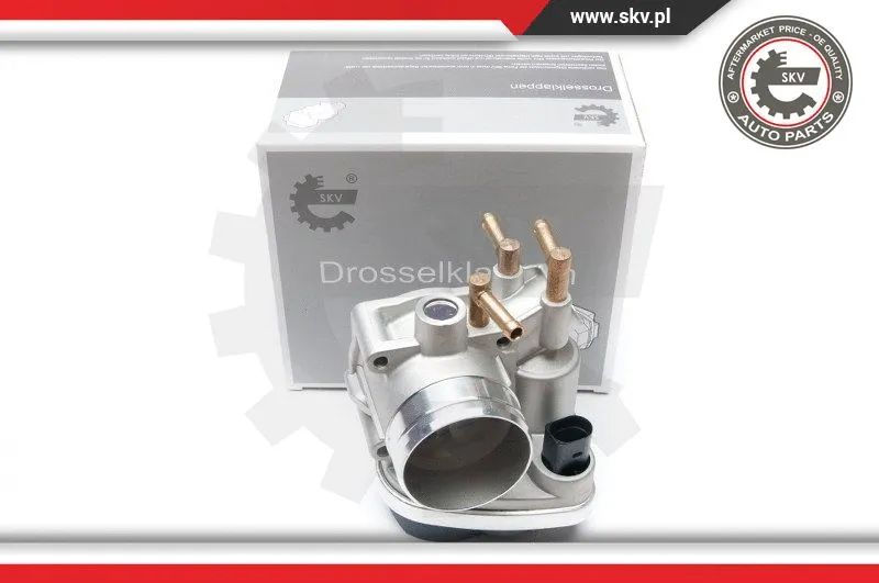 Throttle Body