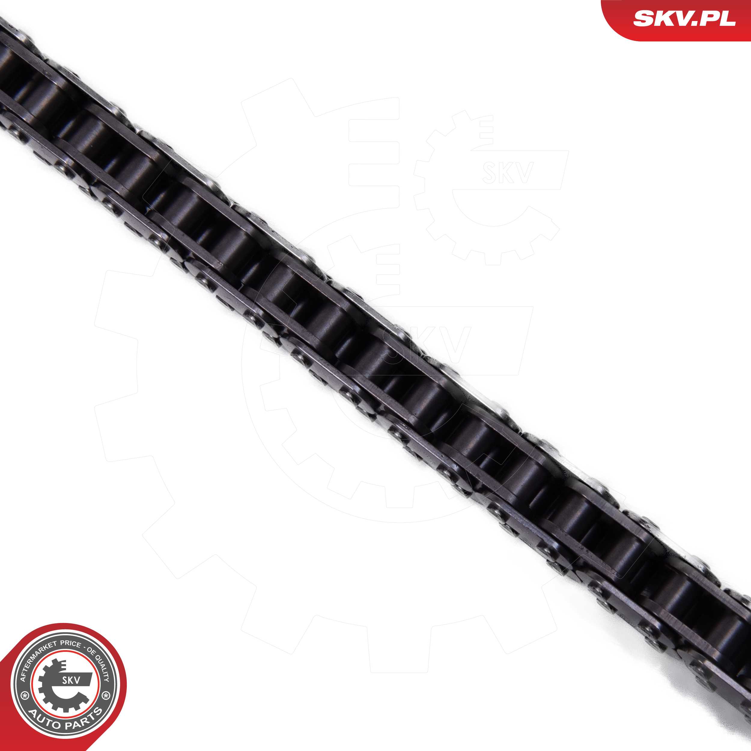 Timing Chain Kit