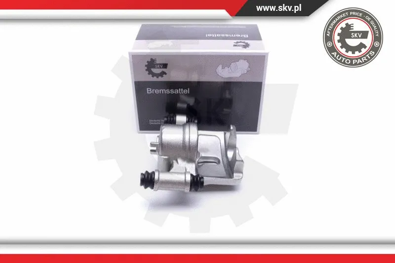 Brake Caliper (46SKV921)