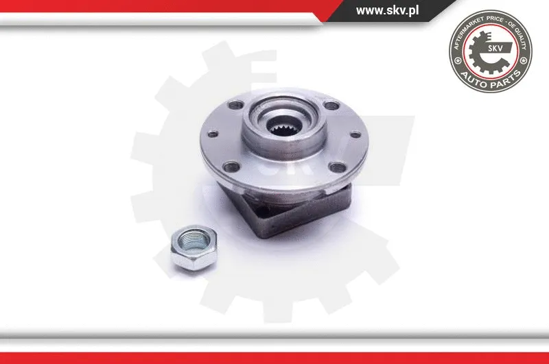 Wheel Bearing Kit